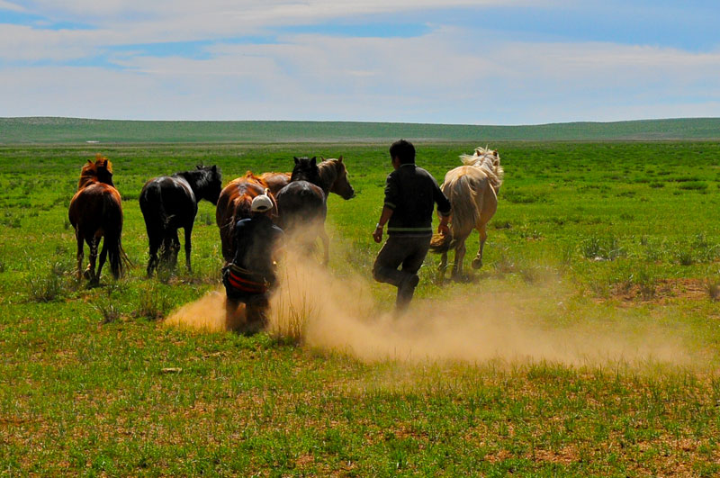 Mongolie